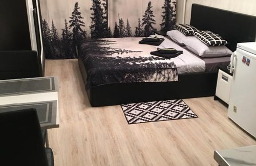 Zvezdnoe Apartamento | Апартаменты "ДоМиНо"
