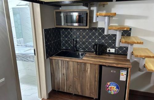 Dushanbe Apartamento | Апартаменты рядом с Hilton