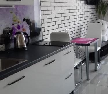 Petrovskoye Apartamento | Апартаменты. Холодная гора, ул. Дудинской 1а.