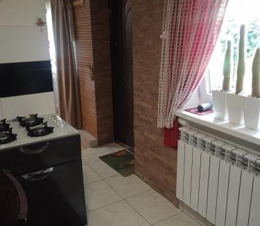 Svalyava Apartamento | Апартаменты PAROSTKI