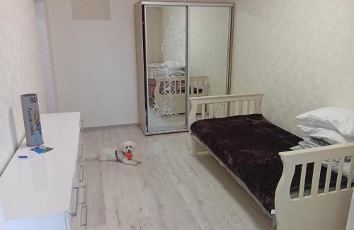 Yuzhne Apartamento | Аренда квартиры у моря