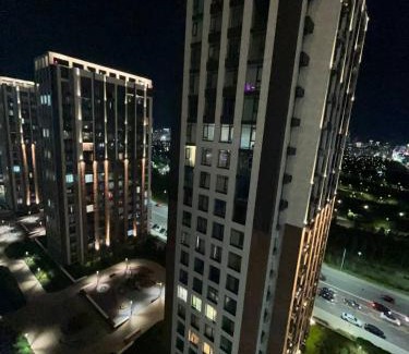 Ulytau District Apartamento | Ботанический Сад