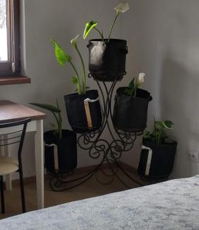 Skhidnytsya Apartamento | Будинок біля лісу
