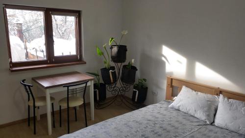 Skhidnytsya Apartamento | Будинок біля лісу