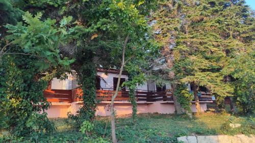 Shkorpilovtsi Otro | Бунгала Виктори Victory Bungalows