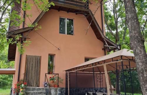 Tsigov Chark Casa | Вила Вайлин