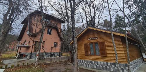 Tsigov Chark Casa | Вила Вайлин