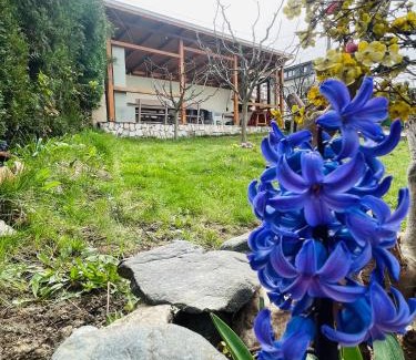 Sapareva Banya Villa | Вила Маца