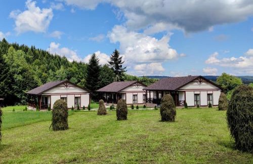 Lviv Oblast Apartamento | Відпочинково- оздоровчий комплекс ОПАКА з форельником