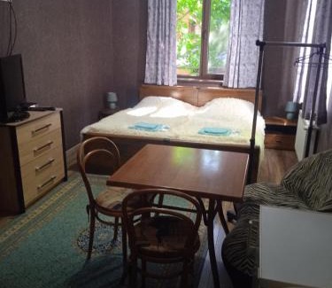 Skhidnytsya Apartamento | Вілла Лісова комфорт