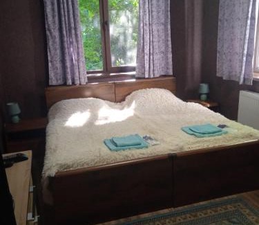 Skhidnytsya Apartamento | Вілла Лісова комфорт