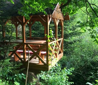 Skhidnytsya Apartamento | Вілла Лісова комфорт