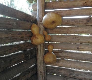 Elena Casa | Горска къща в Елена Петроф хоф
