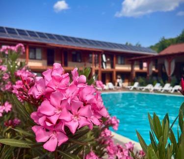 Transcarpathia Hotel | Гостинний дім Александрія
