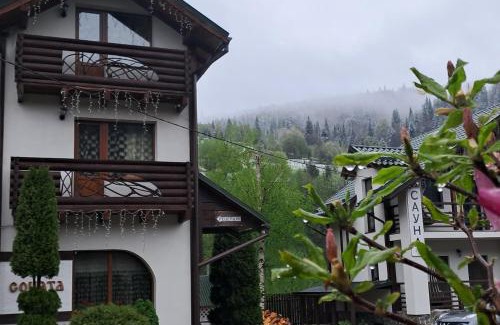 Mykulychyn Villa | Гірська Соната