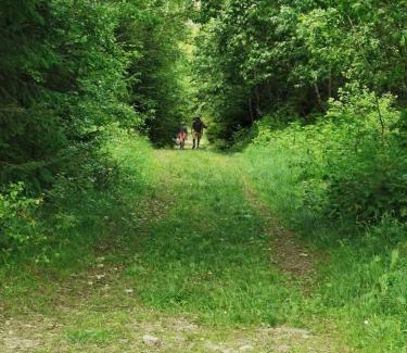 Plavya Cabina | Гірський релакс