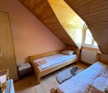 Vyzhenka Hotel | Гірський узвіз