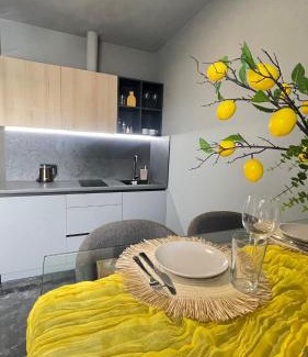 Chernovtsy Apartamento | Дворівневий апартамент N8