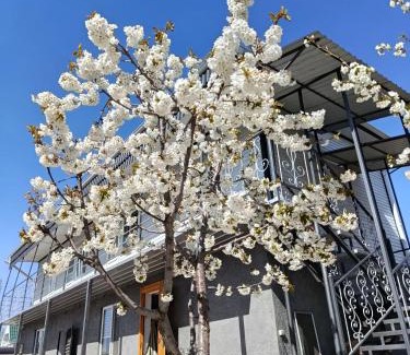 Issyk-Kul Region Casa | Домик Светланы Ильиничны