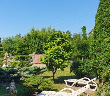 Vinnytsya Casa | Дом для Души с бассейном целиком