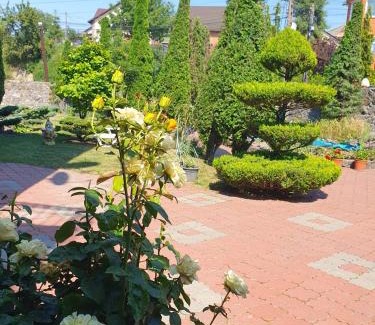 Vinnytsya Casa | Дом для Души с бассейном целиком