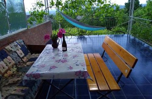 Moldova Casa | Дом-House в Vadul lui Voda