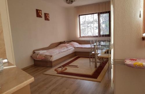 Sandanski Apartamento | Д и В 1 - D & V 1 Apartment