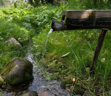 Snidavka Casa | Жива вода