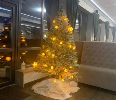 Mykulychyn Apartamento | Карпатський Готель Олександрія