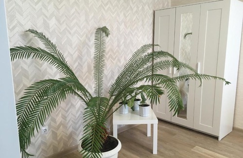 Tsentralnyy okrug Apartamento | Квартира на Дружбе