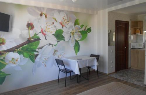 Kirovograd Apartamento | квартира-студия в г. Кропивницком (Кировограде)