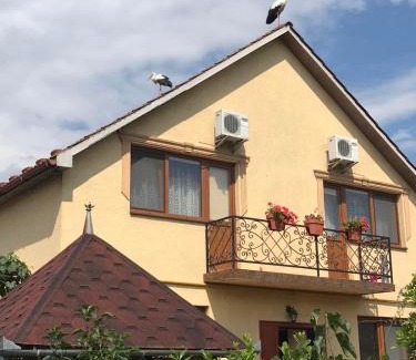Holubyne Casa | Квітковий двір