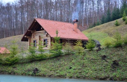 Transcarpathia Casa | Комплекс СКАЛА
