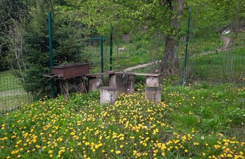 Karpaty Cabina | Комфортный