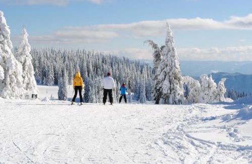 Pamporovo Apartamento | Костадинов 2
