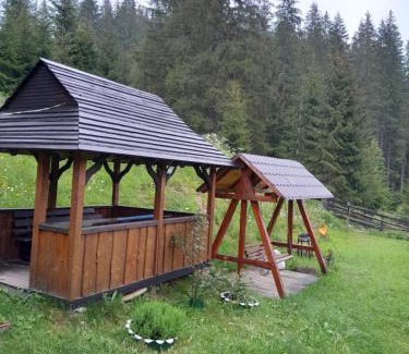 Palyanytsya Cabina | Котеджі "У Яни"