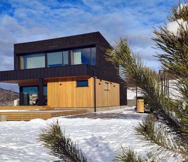 Lviv Oblast Chalet De Esquí | Котедж Загора