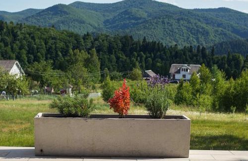 Plavya Chalet De Esquí | Котедж Шпаківня