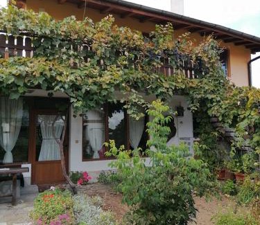 Dobrinishte Casa | Къща за гости Градината
