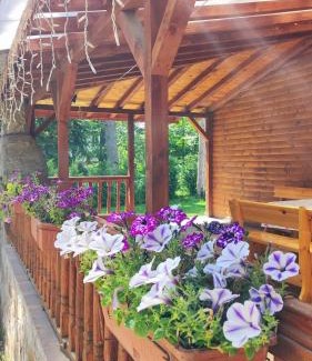 Tsigov Chark Casa | Къща за гости ЕКО