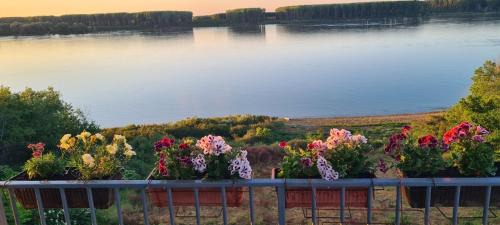 Rasovo Casa | Къща за гости Ненийски