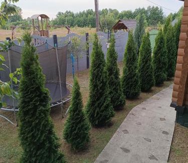 Volyn Oblast Cabina | Лазурний берег