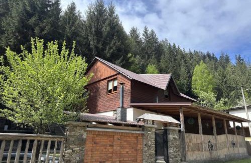 Soymy Chalet De Esquí | Лісова Хатина-ЧАН