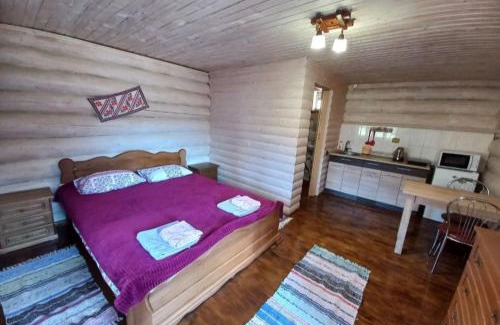 Synevyrska Polyana Apartamento | Маєток У Ґазди