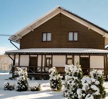 Myhove Chalet De Esquí | Мигово Гражда