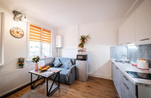 Uzhhorod Apartamento | Найкраще розташування у місті Нові smart-квартири