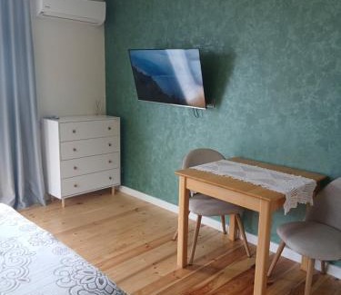 Kamenets-Podol'skiy Apartamento | На Ковальській з видом на фортецю
