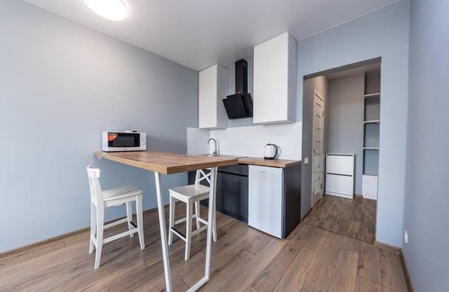Solomjanskyj Apartamento | Однокомнатная студия на Полевой