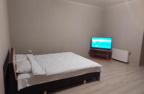 Lutsk Apartamento | Однокімнатна біля автостанції, вулиця Зацепи