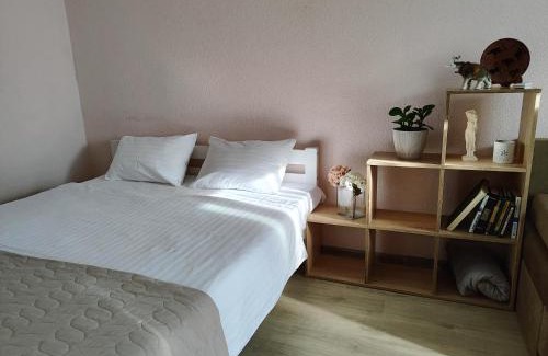 Desnyans'kyi District Apartamento | Однокімнатна на Троєщині
